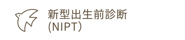新型出生前診断（NIPT）